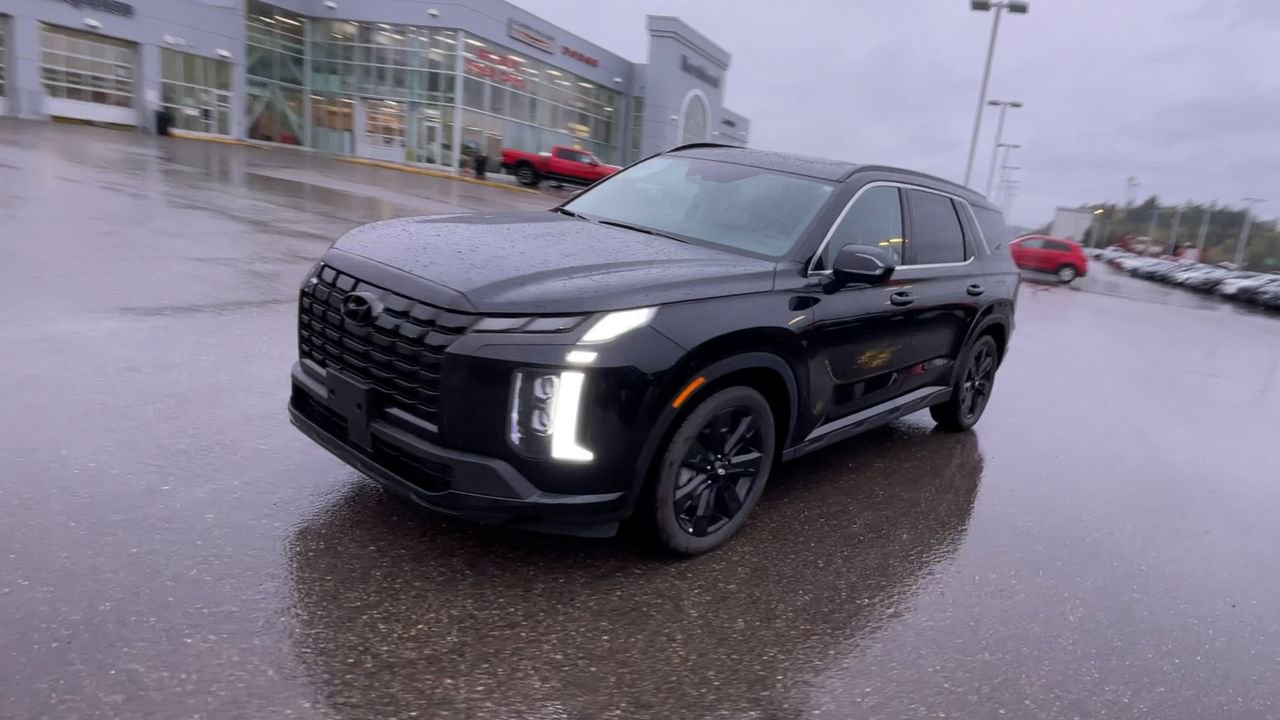 2025 Hyundai Palisade XRT photo 4